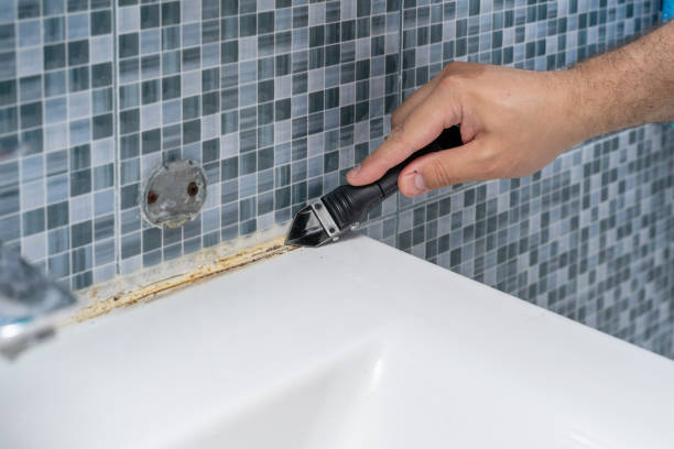 Best Home Mold Removal  in Walters, OK