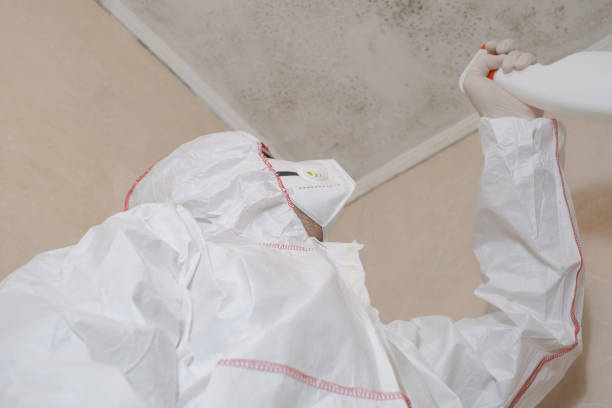 Best Certified Mold Removal  in Walters, OK